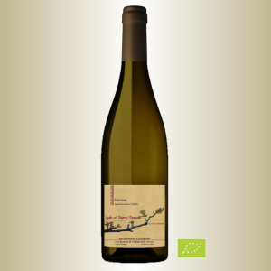 Domaine Bourdin Chancelle Saumur blanc 2023