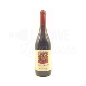 En Coteaux – 100% Pinot Noir – Jeff Carrel – 75cl