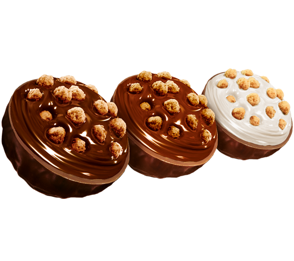 Croustillant chocolat pralinés lait noisette noir 250g