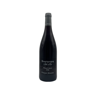Bourgogne Côte-d’Or Pinot Noir 2022 – 75cl