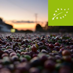 Loja Sundried Organico (Équateur) 200g