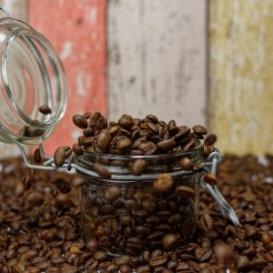 Galapagos (Équateur)