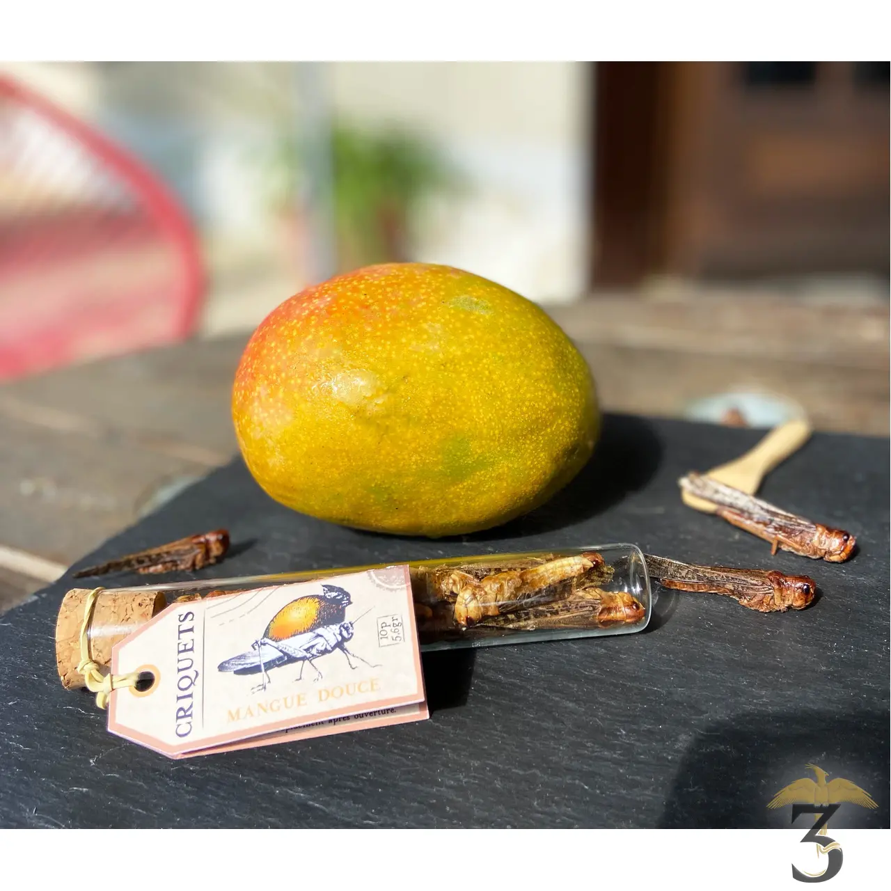 Tube de criquets – mangue douce – Image 2