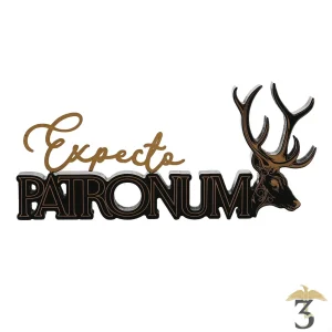Mot décoratif expecto patronum