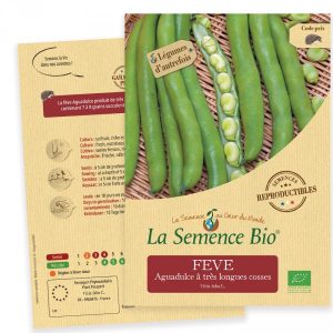 La Semence Bio Fève Aguadulce 50G